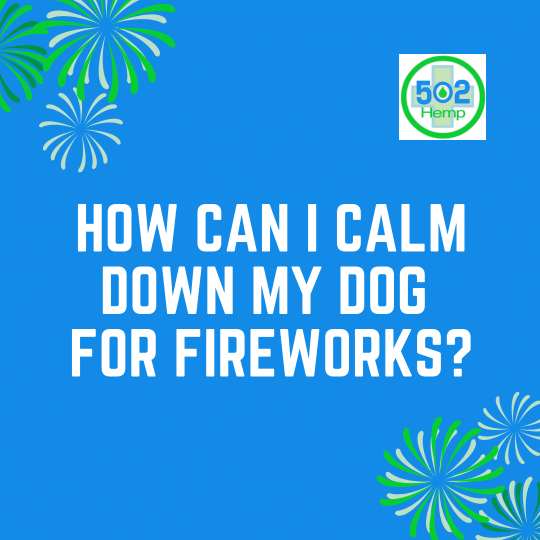 How Can I Calm My Dog Down for Fireworks?