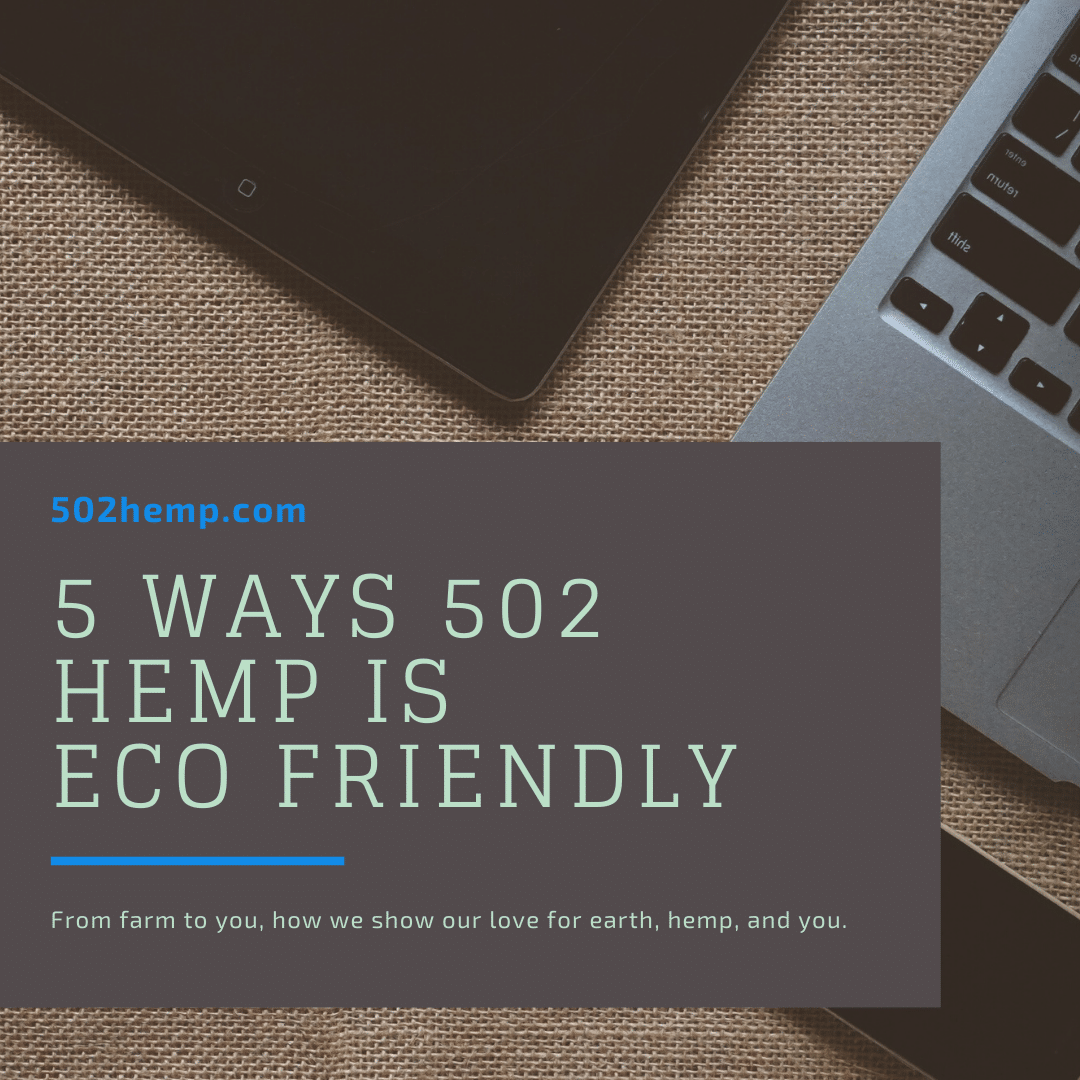 5 Ways 502 Hemp is Eco Friendly