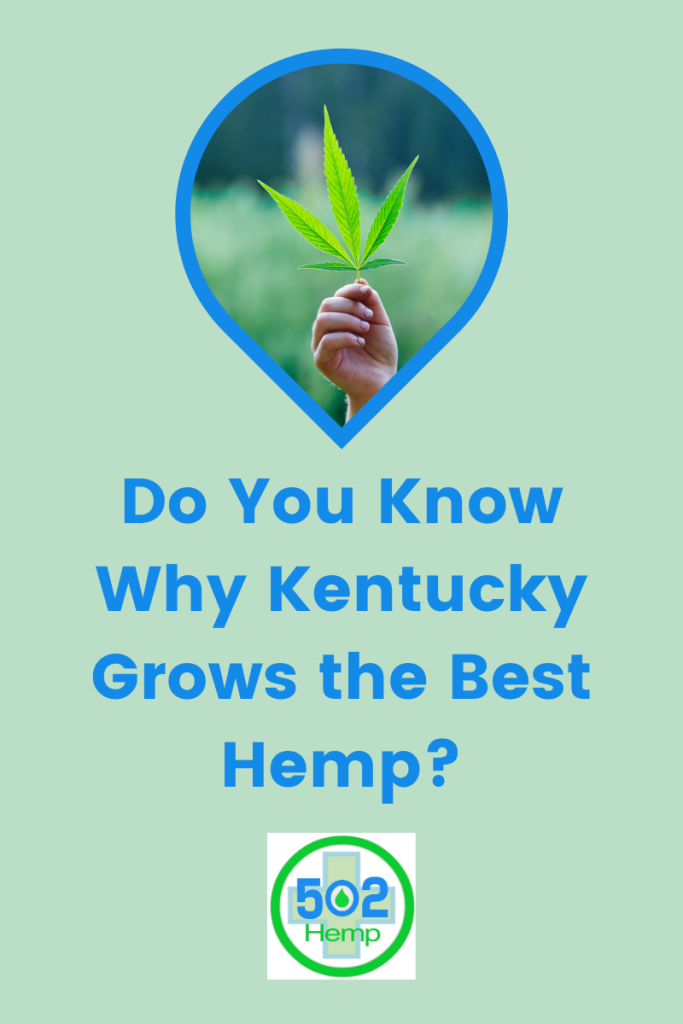 Do you know why Kentucky Grows the best hemp? Hero image