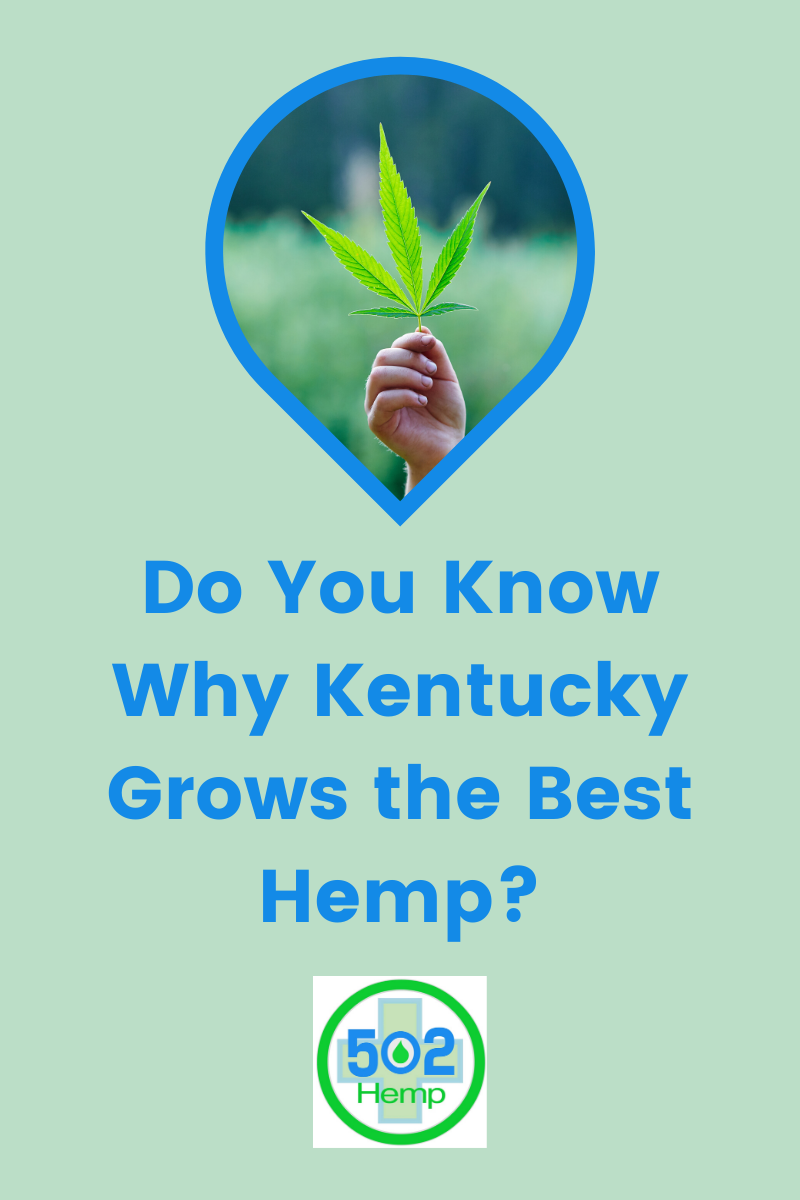 Do You Know Why Kentucky Grows the Best Hemp?