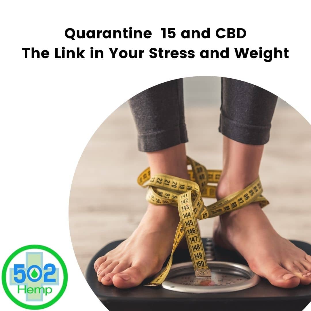 Quarantine 15 and CBD: The Link in Your Stress and Weight