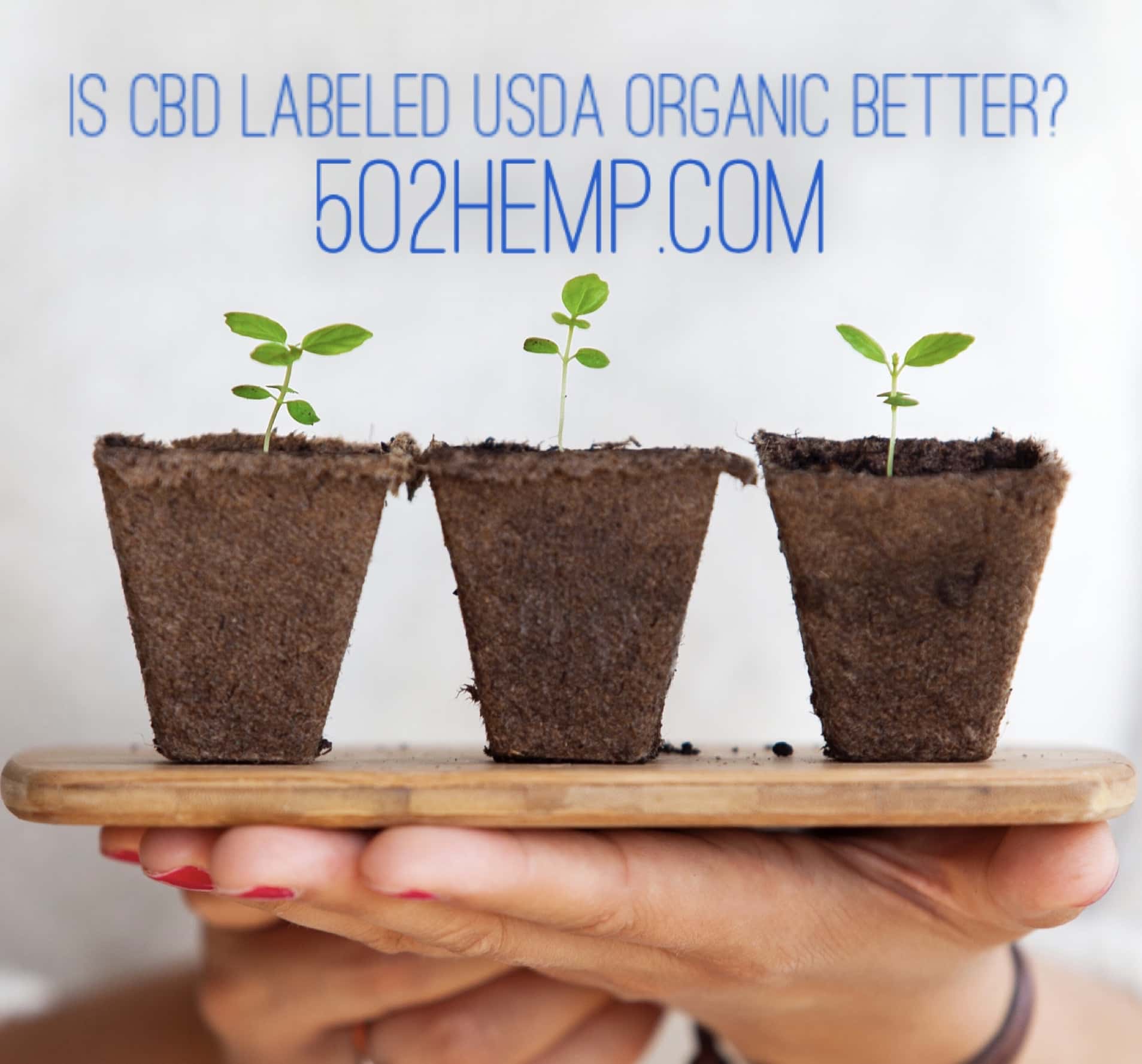 Is CBD labeled USDA Organic better?
