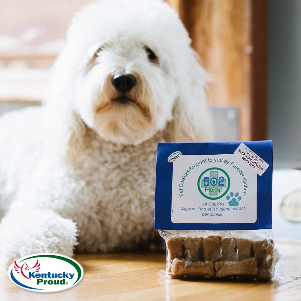 Are CBD Dog Treats Good for Dogs?