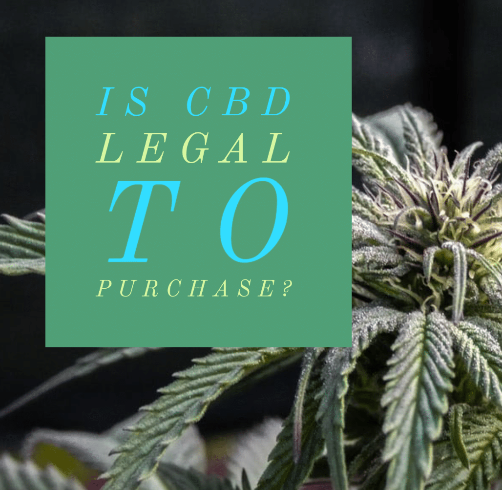 Is CBD Oil Legal To Purchase?