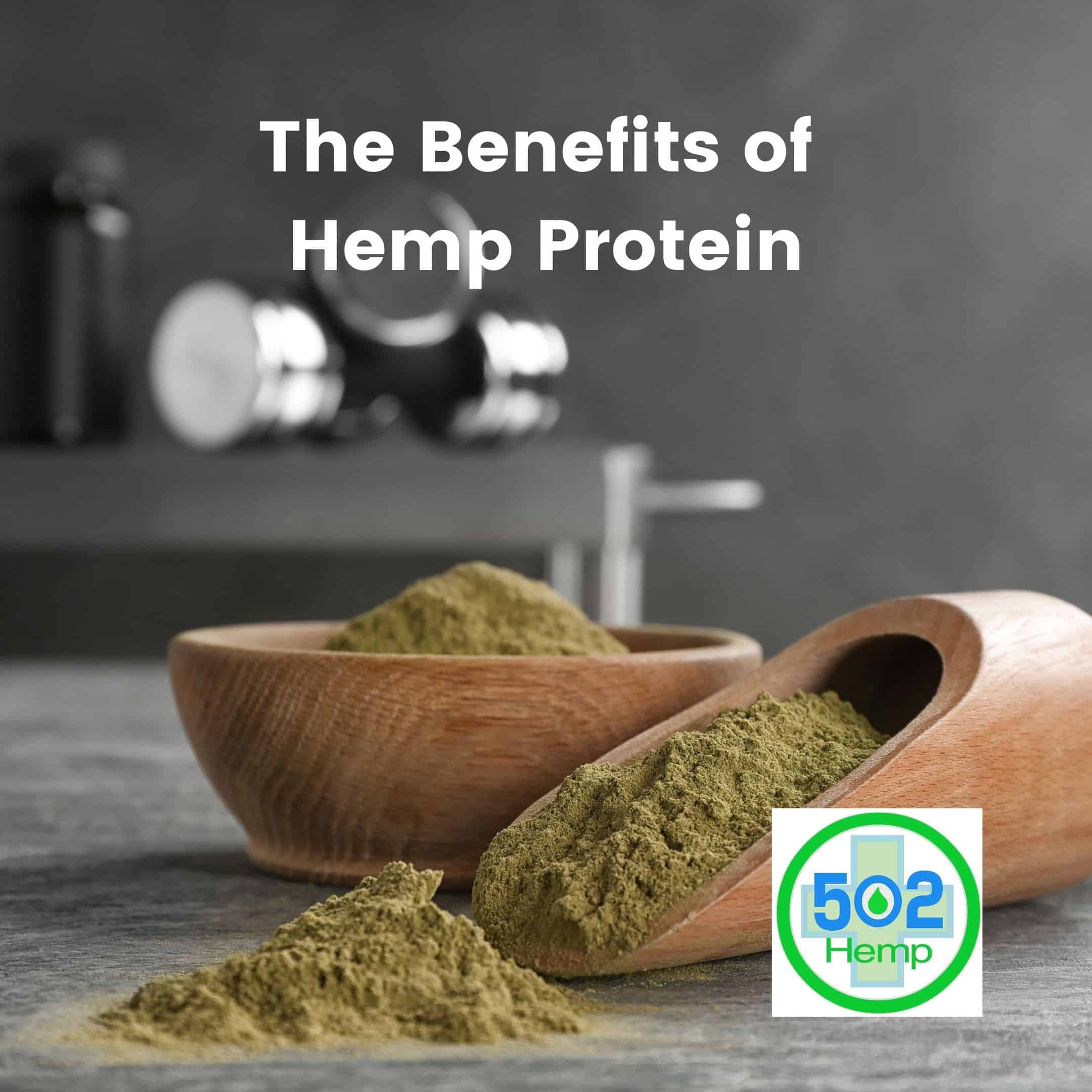 What are the Benefits of Hemp Protein?