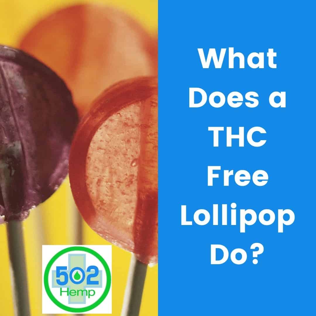 What does a THC Free CBD Lollipop do?