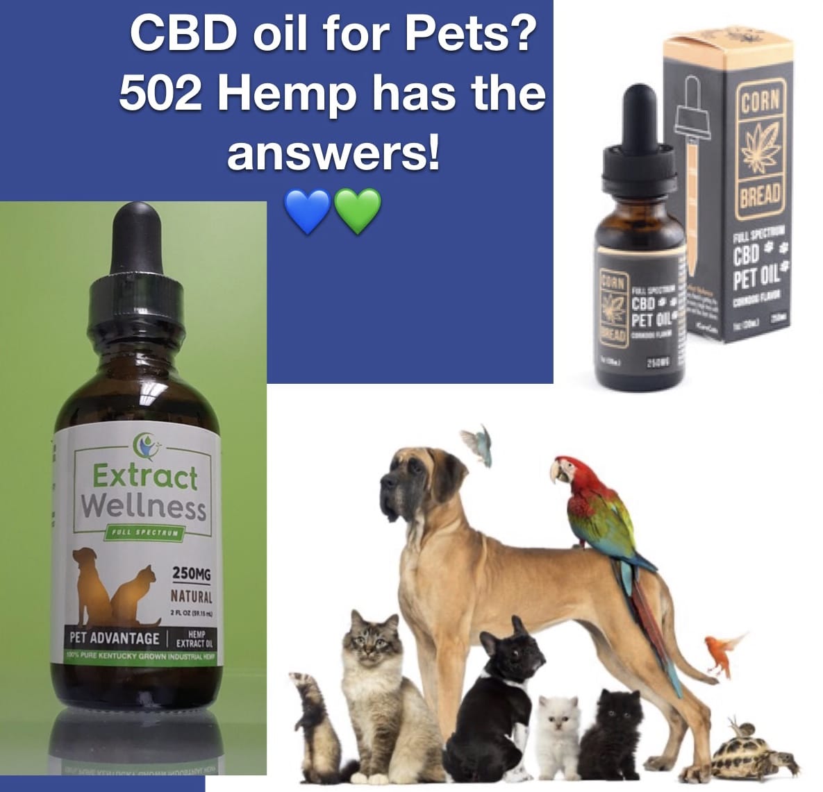 CBD Oil for Pets, is it Safe?