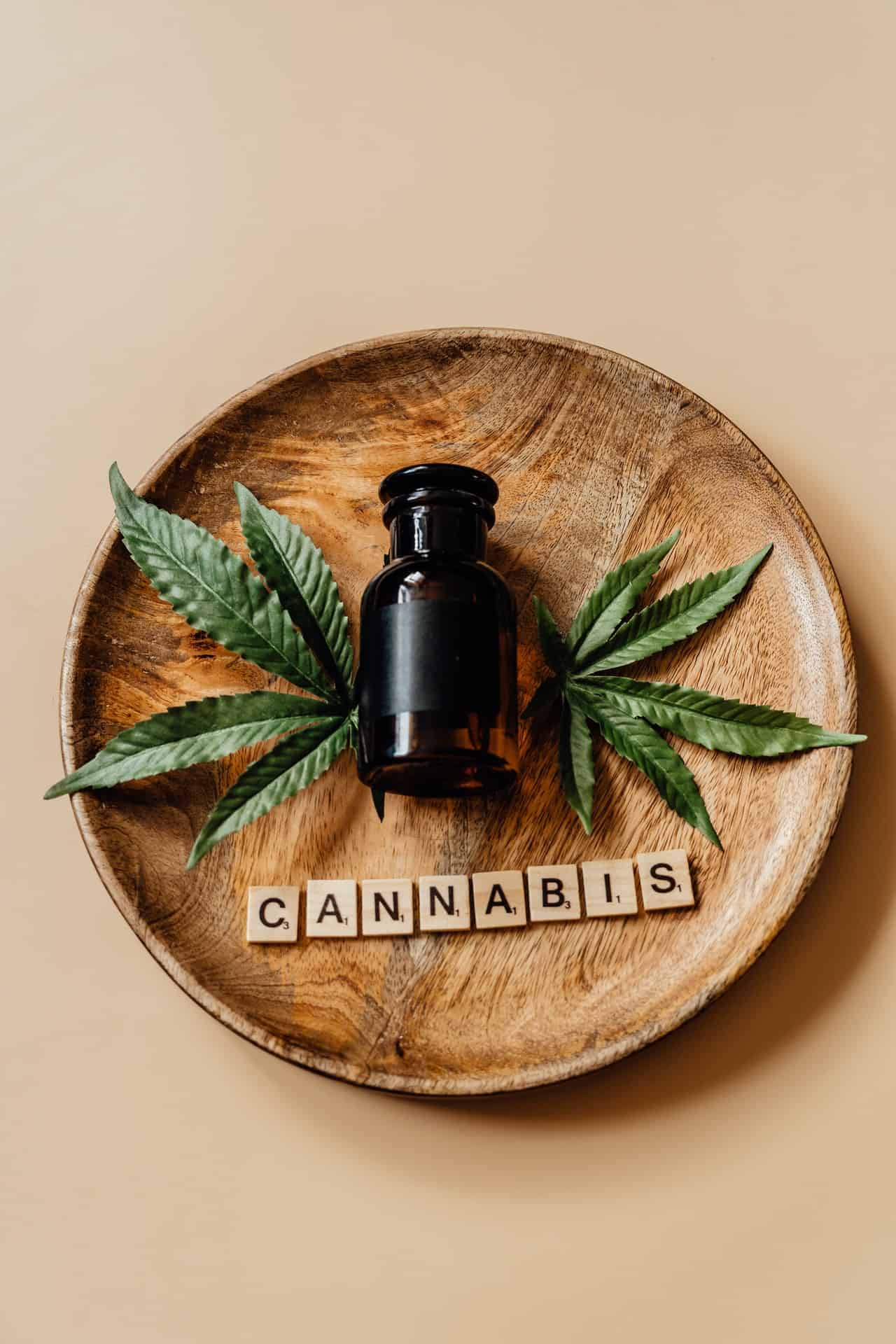 Cannabis 101: What Are Cannabinoids?