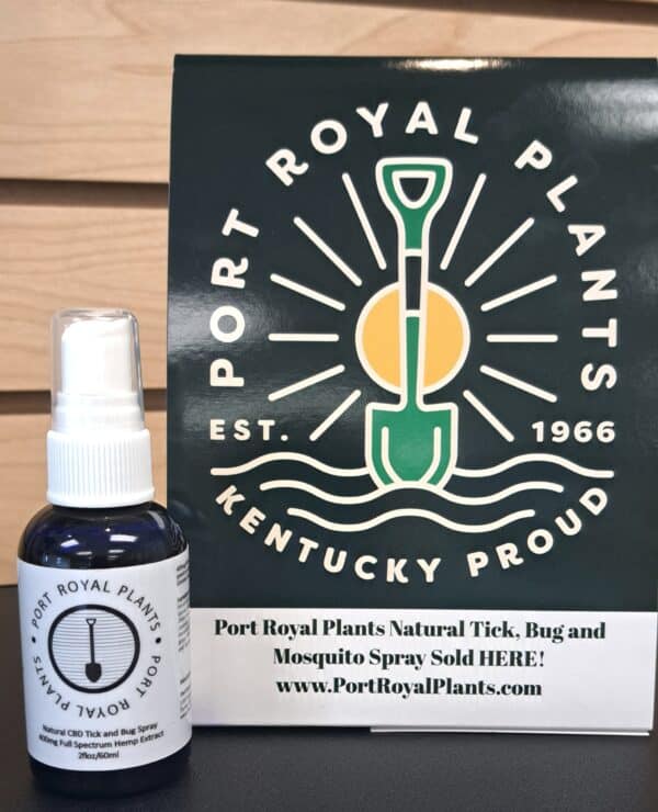 Port Royal Plants Natural CBD Tick & Bug Spray