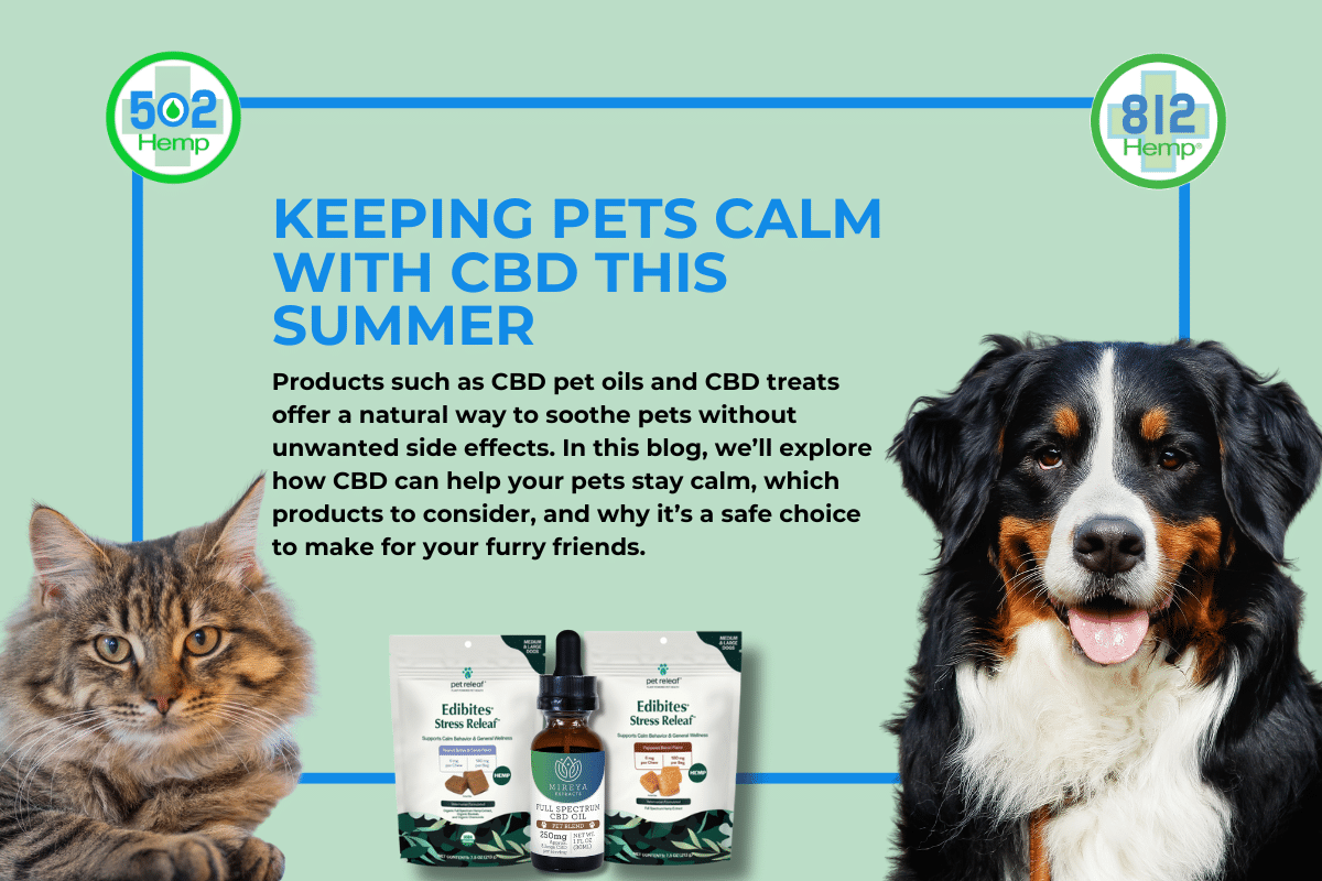 Keeping Pets Calm with CBD This Summer