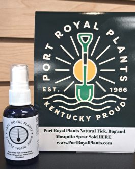 Port Royal Plants Natural CBD Tick & Bug Spray