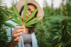 Women’s Cannabis Pioneers: From Early Trailblazers to Modern Wellness
